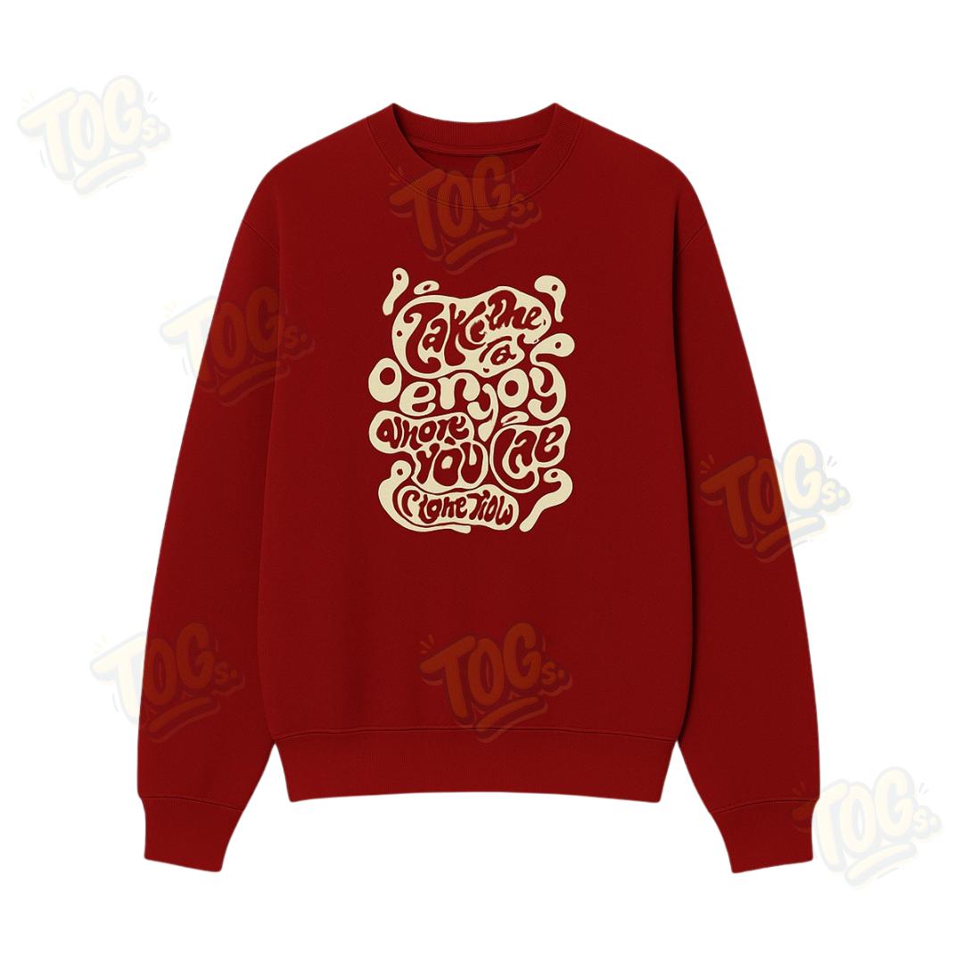 Envy Your Present Sweatshirt